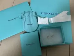 Item thumbnail for item 784b4da6-e71f-47f8-9ad9-458328124309