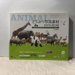 DVD『BBC earth アニマル・ベビー ~野生の成長物語~』 レンタル落ち