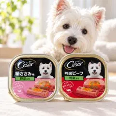 シーザー 犬用ウェットフード 100g×2 絹ささみ・吟選ビーフ