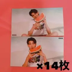 ラウール　厚紙　16枚セット