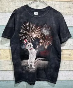 Item thumbnail for item 2757b505-2eec-4f88-ac0f-e5ee00a4888b