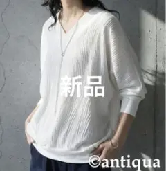 antiqua 立体柄 カットソー　プルオーバー　ホワイト　¥4,990のサムネイル