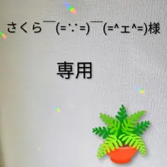 専用です！①サンダーブチ「しっぽ白込み」②ハチワレ・白黒ブチ③サンダー・白ファー