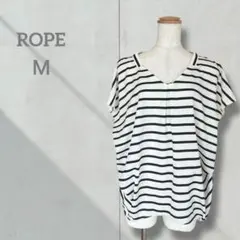 Item thumbnail for item c4b7da5d-ae32-4a90-a8de-568d9b900f6e