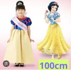 Disney 白雪姫 コスチューム 100cm 激レア　ビビデバビデブティック