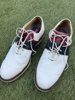 試着のみ フットジョイ ドライジョイズ プレミア ターロウ ゴルフ