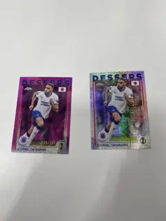 Item thumbnail for item a7d5e05b-da2f-4d8d-9775-d9d92408eb07