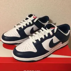 28cm ナイキ ダンク ロー バレリアンブルー Valerian Blue