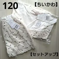 ⑦新品☆プティマイン 120 ちいかわ セットアップ アイボリー ドット