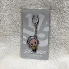 すのチルぶら下がりシリーズ　(アクリルキーホルダーver.) 岩本照