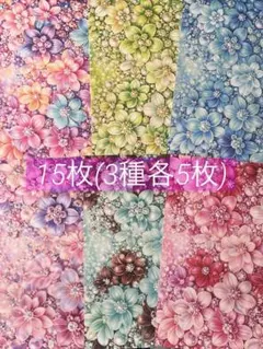 Item thumbnail for item 110f6b78-e4ea-4592-aa66-c4eb30af905e