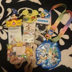 ディズニーランド パスポートケース