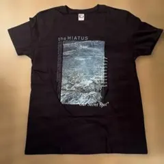 2026年最新】the hiatus tシャツ lの人気アイテム - メルカリ