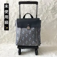 未使用級✨センススワニー キャリーケース カジュアルバッグ グレーのサムネイル