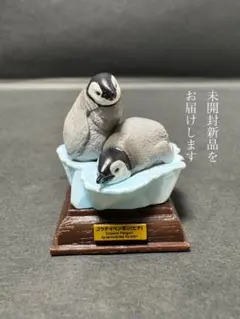 ネイチャーテクニカラー 南極 コウテイペンギン ヒナ