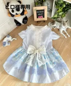 ハンドメイド犬服・爽やか！♥️エレガント！ギャザーたっぷりワンピース
