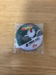 2026年最新】verdy バッジの人気アイテム - メルカリ