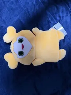 GIGO限定　ジヒョ