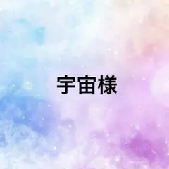 宇宙様 ミナペルホネン ブローチアクセサリー ハンドメイドwolf＆flower