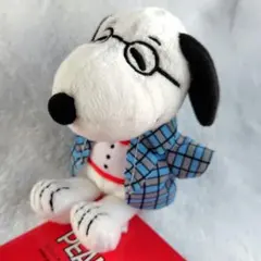 未使用/スヌーピー/SNOOPY/いろいろコスチューム/ぬいぐるみ/マスコットのサムネイル