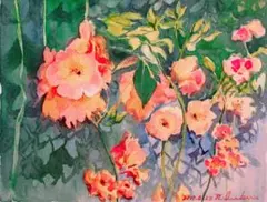 水彩画 ブーゲンビリア 2015年 F6サイズ 額装済み