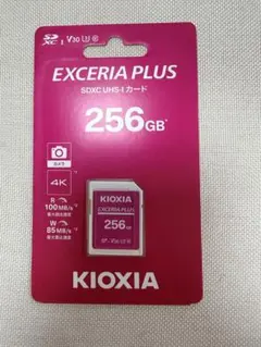 KIOXIA EXCERIA PLUS SDXC 256GB