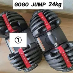 引き取り限定】GOGOJUMP 可変式ダンベル24kg×2個セット！超美品