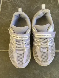 Item thumbnail for item e12c1b0f-262e-4ea1-a0fa-aa079a5e48e3