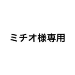 専用ページ