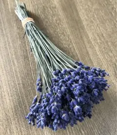 専用ページ ハンドメイド あみぐるみ ラベンダー - メルカリ
