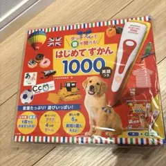 【新品、未開封】はじめてずかん1000
