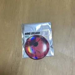WIND BREAKER 缶バッジ　蘇枋隼飛