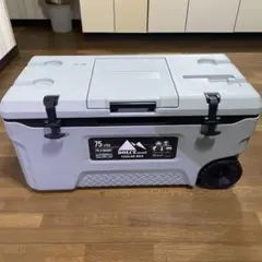 新品未使用】AQUA MARINAフィッシングSUPクーラーボックス - メルカリ