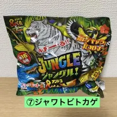 【DeAGOSTINI】ジャングル&co. ジャワトビトカゲ