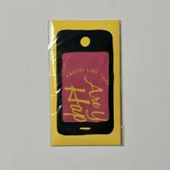 ねこ様 リクエスト 2点 まとめ商品