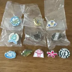 ハイキュー　校章ピンバッチ11個セット