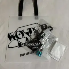 treasure wonderland ペンミ プレミアムシート グッズ