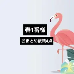春1番様 リクエスト 4点 まとめ商品