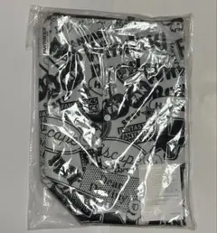 FANTASTICS FC特典　バッグ