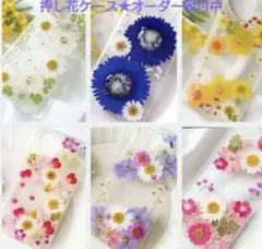 ハル⭐︎様専用ページ⭐︎押し花ケース
