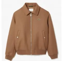 Item thumbnail for item 43342581-ba5a-49a7-9691-916e84c7e9a7