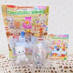 雨雫様 リクエスト 2点 まとめ商品