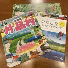 沖縄 ちゅらナビ JALオリジナルクーポンブック - メルカリ