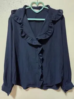 アクシーズブラウスとニットPO の2点セット