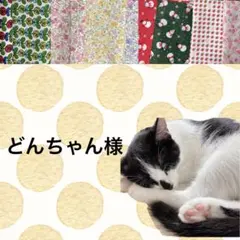 どんちゃん様 リクエスト 2点 まとめ商品