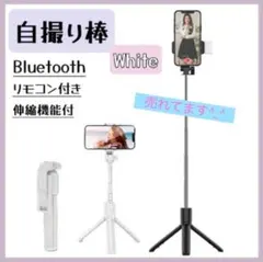 Item thumbnail for item 4db32b27-8702-48f8-8f23-bbee9f469041