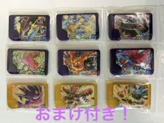 ポケモンフレンダ　ベストタッグ５だん　９枚セット