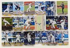 Item thumbnail for item 7a774518-c2d1-46cd-b10e-d863d251c0fe