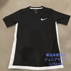 Item thumbnail for item 19b23eed-3b47-4ccc-99e6-1225dd816980