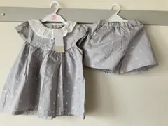 プティマイン セットアップ